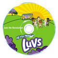 DVD ROM (4.7 Gb)